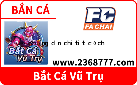 Hướng dẫn chi tiết cách chơi bài liêng