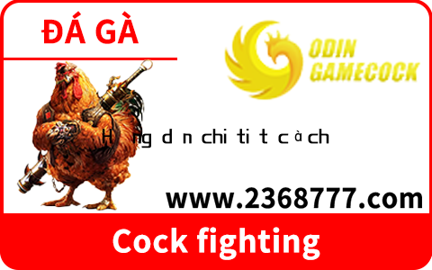 Hướng dẫn chi tiết cách chơi bài phỏm